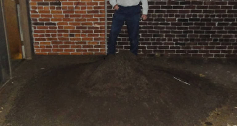 Remediation Services